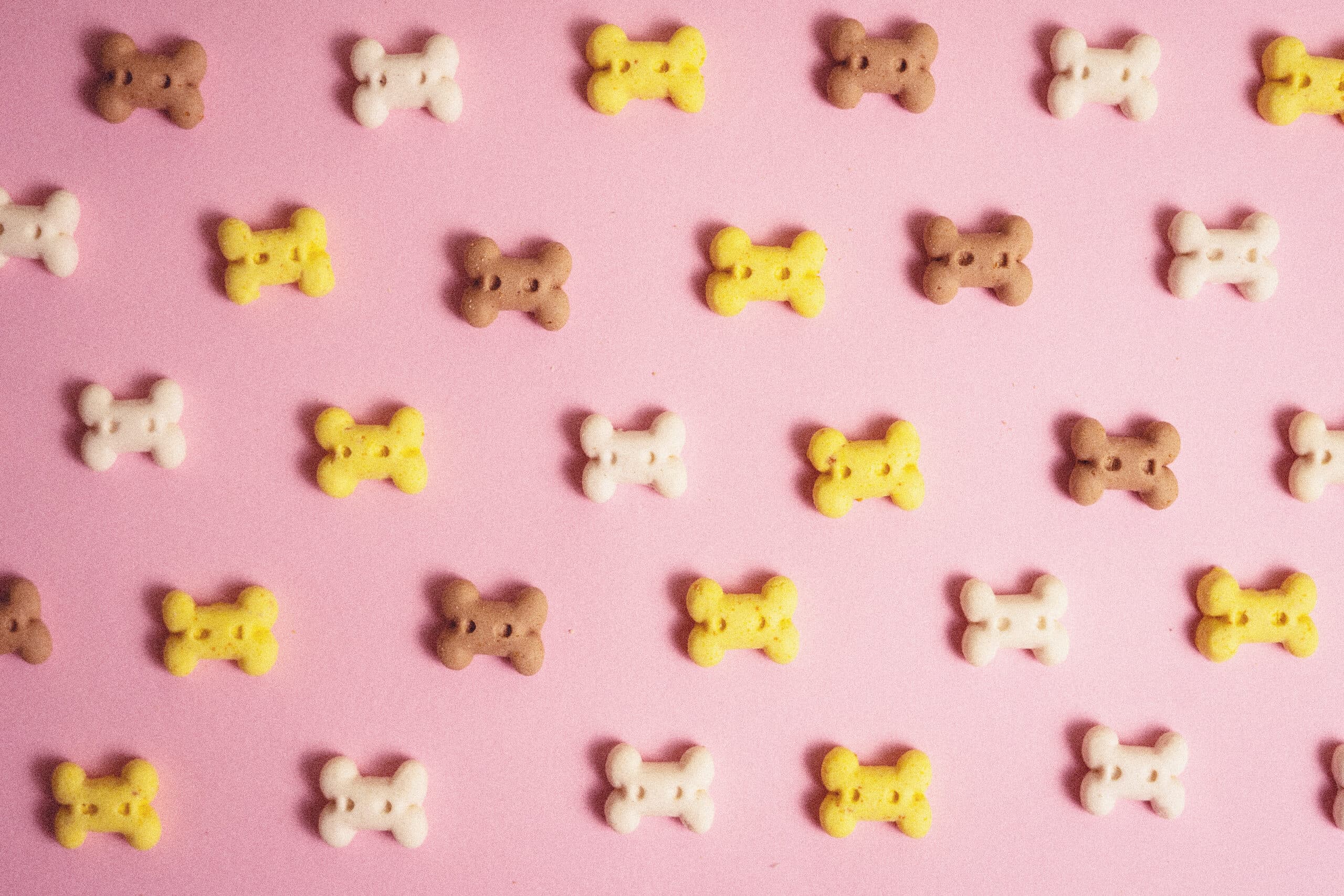 Bone-shaped biscuits laid out on a soft pink surface